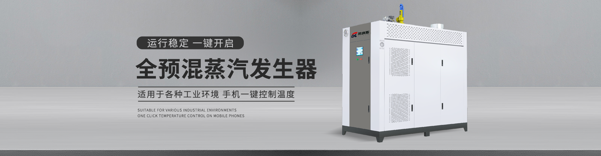 莱纳斯,燃气蒸汽发生器,燃气蒸汽发生器十大品牌,燃气蒸汽发生器厂家