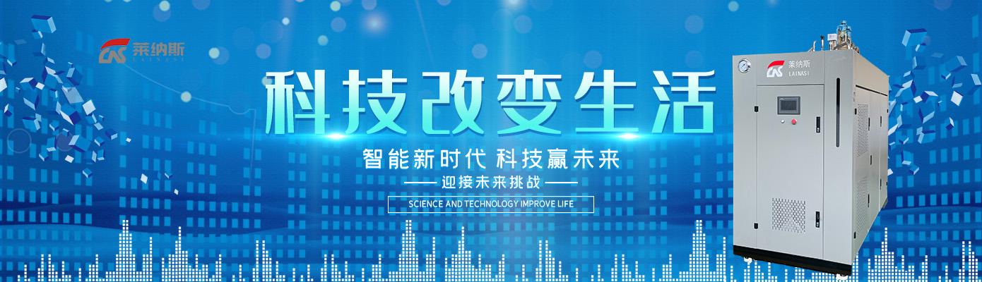 莱纳斯,燃气蒸汽发生器,燃气蒸汽发生器十大品牌,燃气蒸汽发生器厂家